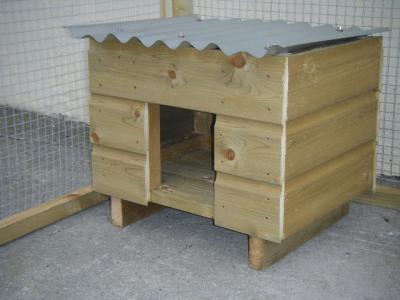 Cat House in Run.JPG